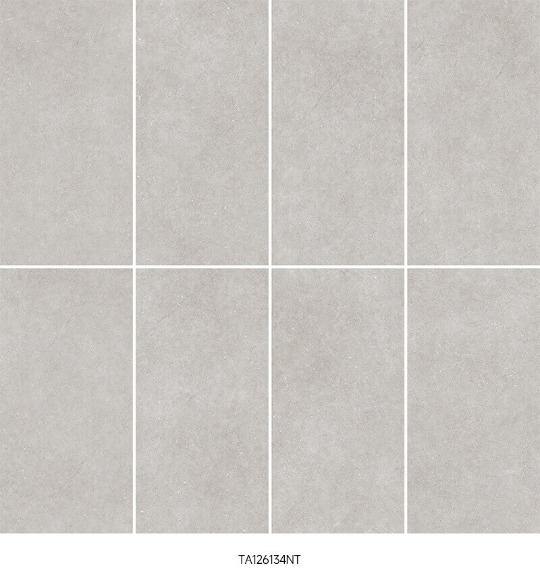 concrete look rustic matte tiles