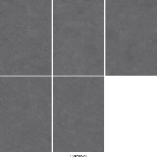 Low water absorption matte floor tile